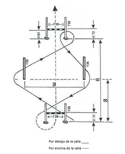 prueba fisica